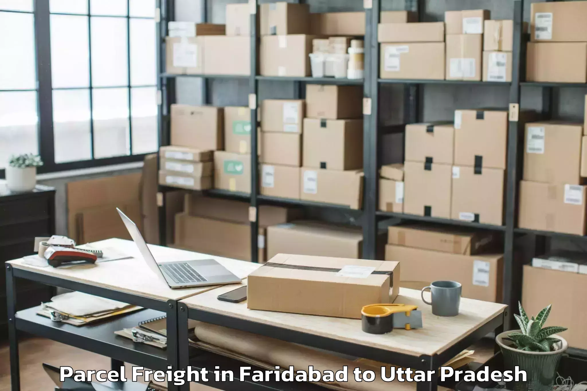 Easy Faridabad to Muskara Parcel Freight Booking